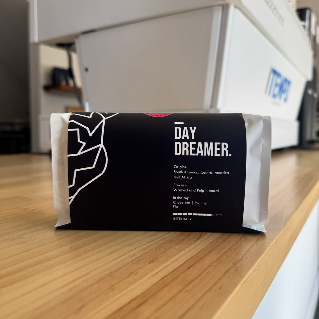 BearBones Day Dreamer